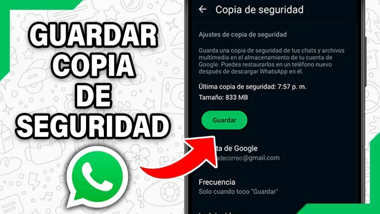 Copia de seguridad de datos en WhatsApp Plus